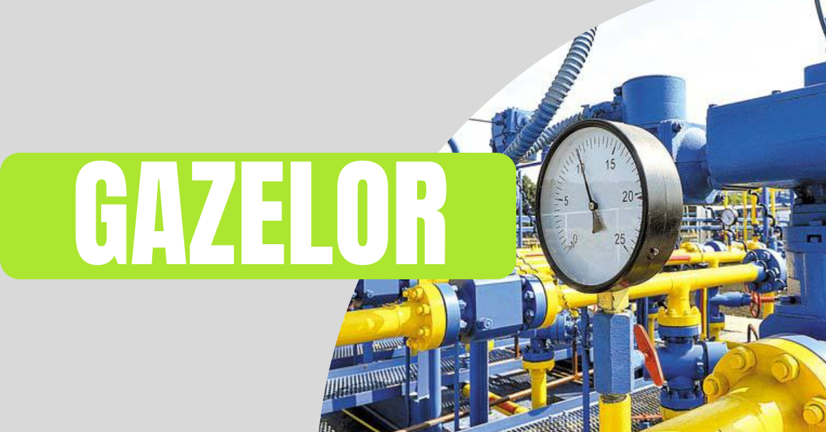 Unveiling Gazelor Navigating the Realm of Sustainable Transportation