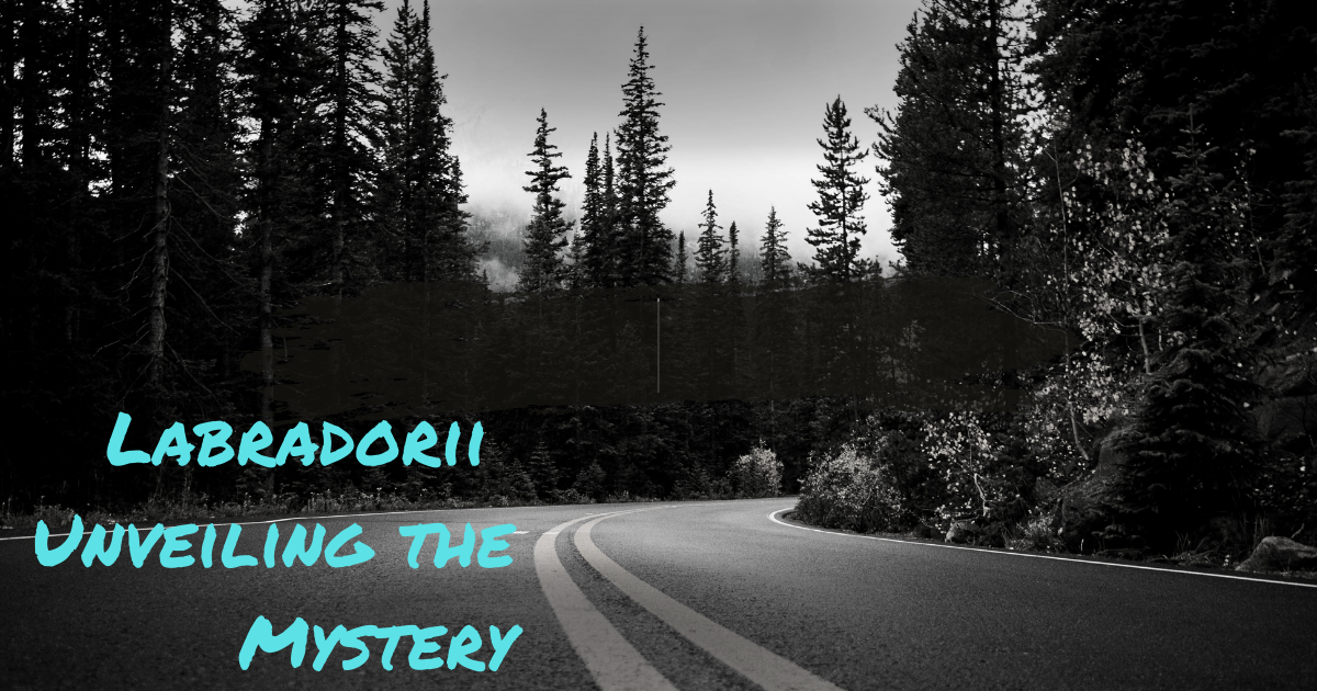 Labradorii: Unveiling the Mystery