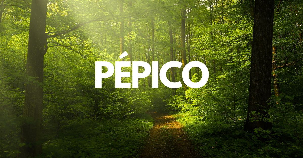 Pépico A Culinary Adventure Through the Heart of Spain