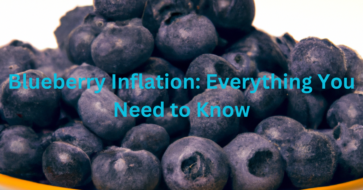 Blueberry Inflation Everything You Need to Know