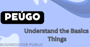 Understand the Basics Things of Peúgo